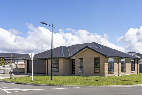 Photo of property in 50 Ascot Street, Appleby, Richmond, 7020