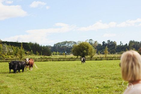 Photo of property in 56e Te Puna Road, Te Puna, Tauranga, 3174