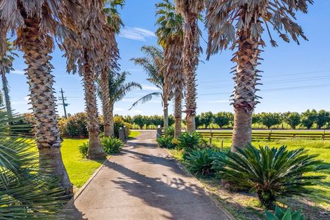 Photo of property in 274 Te Rahu Road, Poroporo, Whakatane, 3193