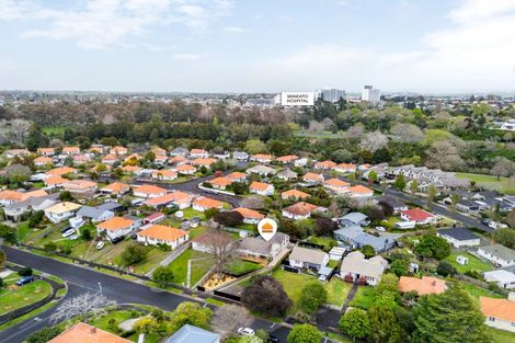 Photo of property in 13 Plunket Terrace, Hamilton East, Hamilton, 3216