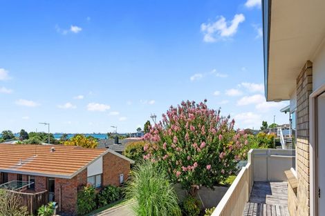 Photo of property in 20b Laing Place, Otumoetai, Tauranga, 3110