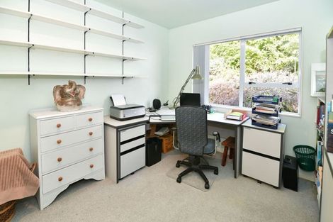 Photo of property in 97 Albany Heights Road, Dairy Flat, Albany, 0792