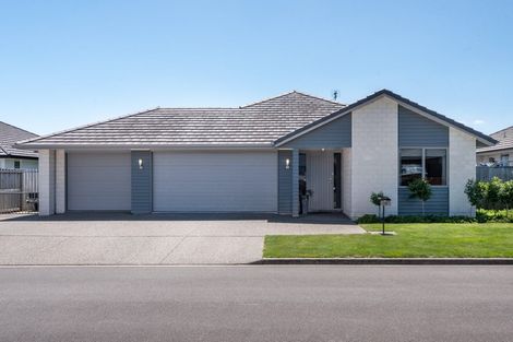 Photo of property in 24 North Bay Road, Pyes Pa, Tauranga, 3112