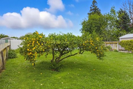 Photo of property in 4 Julyan Street, Shannon, 4821