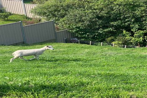 Photo of property in 2 Fern Lane, Whalers Gate, New Plymouth, 4310