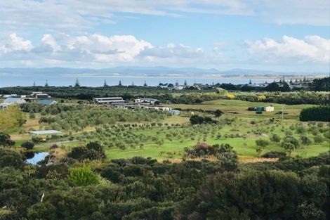 Photo of property in 1484 Inland Road, Karikari Peninsula, Kaitaia, 0483