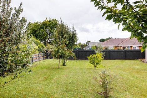Photo of property in 25 Vista Drive, Feilding, 4702