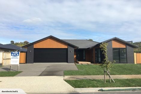 Photo of property in 68 Pakanga Grove, Pyes Pa, Tauranga, 3112