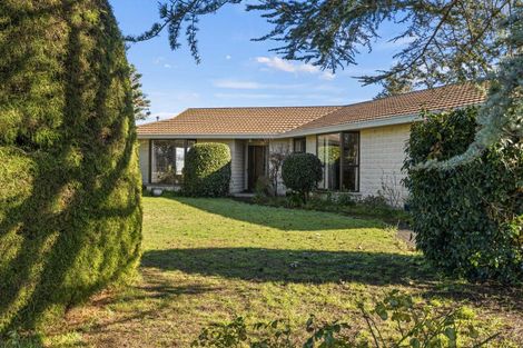 Photo of property in 1 Bredins Line, Marton, 4710