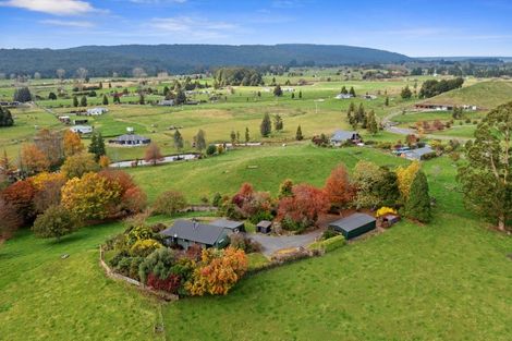 Photo of property in 87 Kawautahi Road, Owhango, 3989