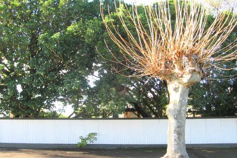 Photo of property in 69 Nelson Crescent, Napier South, Napier, 4110