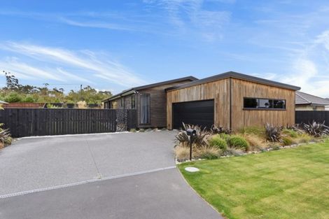 Photo of property in 46 Lignite Drive, Rolleston, 7614