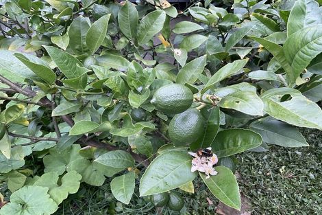 Photo of property in 74 Cambridge Terrace, Waterloo, Lower Hutt, 5011