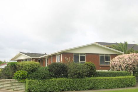 Photo of property in 46 Stirling Drive, Morrinsville, 3300