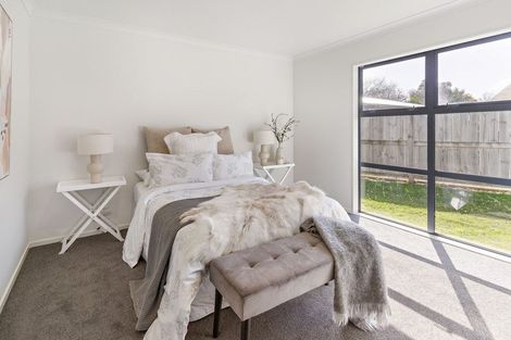 Photo of property in 43 Esther Street, Martinborough, 5711