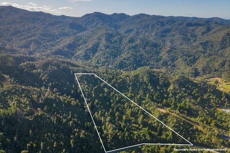 Photo of property in 1621 The 309 Road, Kaimarama, Whitianga, 3591