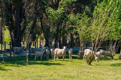 Photo of property in 417 Tetley Brook Road, Seddon, 7285