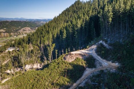 Photo of property in 990 Motueka River West Bank Road, Motueka Valley, Motueka, 7196