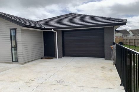 Photo of property in 68 Hinemoa Street, Levin, 5510