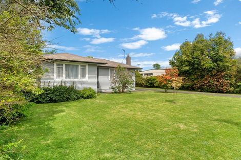 Photo of property in 45 Tararua Street, Pahiatua, 4910