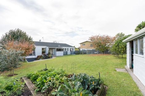 Photo of property in 7 Amanda Avenue, Dinsdale, Hamilton, 3204