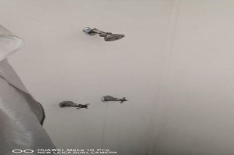 Photo of property in 7 Whakauru Street, Tokoroa, 3420