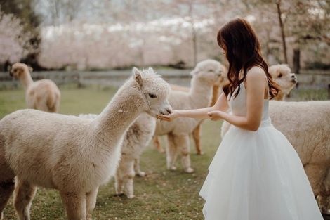 Photo of property in 125 Matangi Road, Matangi, Hamilton, 3284