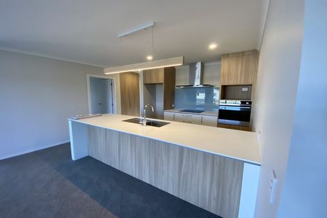 Photo of property in 22 Lampton Street, Richmond, 7020