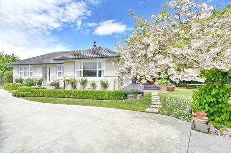 Photo of property in 39 Flower Street, Bryndwr, Christchurch, 8053