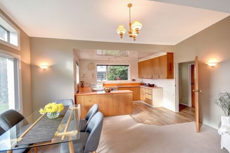 Photo of property in 32 Lynas Street, Outram, 9019