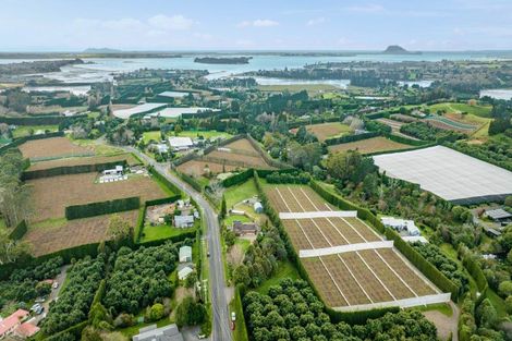 Photo of property in 62 Plummers Point Road, Whakamarama, Tauranga, 3172