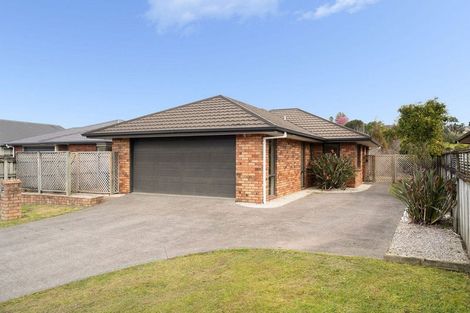 Photo of property in 79 Solomon Street, Brookfield, Tauranga, 3110