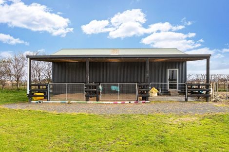 Photo of property in 210b Clarks Beach Road, Clarks Beach, Pukekohe, 2679