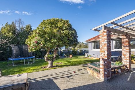 Photo of property in 43 Peel Street, Geraldine, 7930