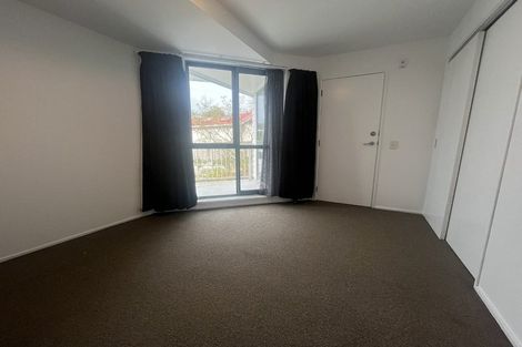 Photo of property in Palm Grove Apartments, 6/13b Palm Grove, Berhampore, Wellington, 6023