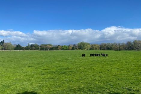 Photo of property in 64 Matahiwi Road, Matahiwi, Masterton, 5888