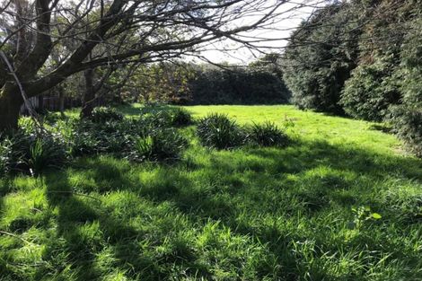 Photo of property in 9 Anderson Street, Eketahuna, 4900