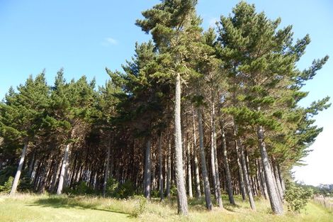 Photo of property in 215 Sandys Road, Waipapa, Kerikeri, 0295