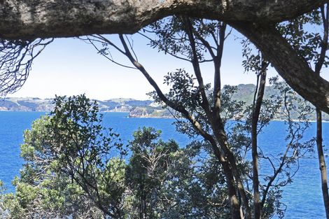 Photo of property in 7 Kyle Street, Leigh, 0985