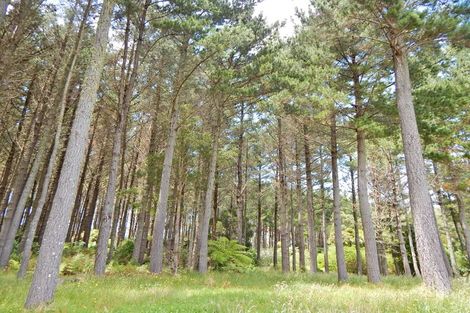 Photo of property in 215 Sandys Road, Waipapa, Kerikeri, 0295