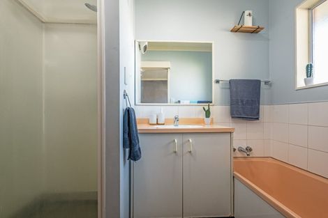 Photo of property in 509 Featherston Street, Roslyn, Palmerston North, 4414