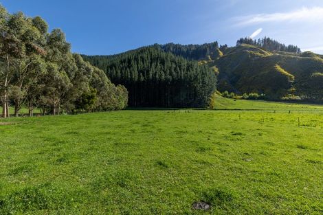 Photo of property in 208 Mount Riley Road, Okaramio, Havelock, 7178