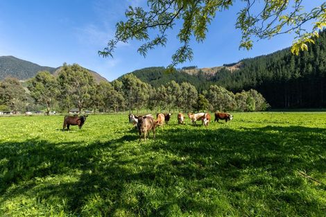 Photo of property in 208 Mount Riley Road, Okaramio, Havelock, 7178