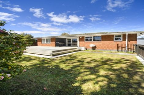 Photo of property in 19 Clarke Avenue, Highbury, Palmerston North, 4412