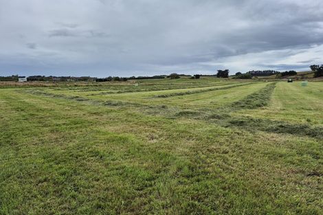 Photo of property in 223 Kaitangata Highway, Stirling, 9231