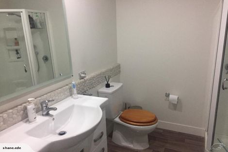 Photo of property in 46a Chester Street, Levin, 5510