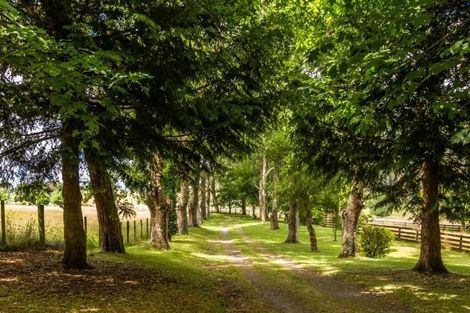 Photo of property in 850 Tukairangi Road, Acacia Bay, Taupo, 3385