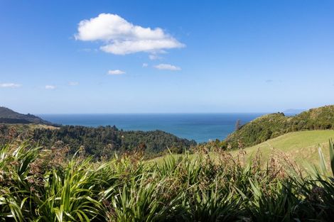 Photo of property in 227 Heard Road, Waihi, 3681