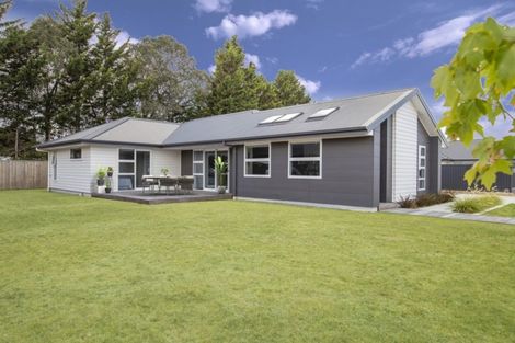 Photo of property in 4 Maple Grove, Solway, Masterton, 5810