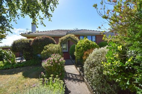 Photo of property in 39 Archibald Street, Waverley, Dunedin, 9013